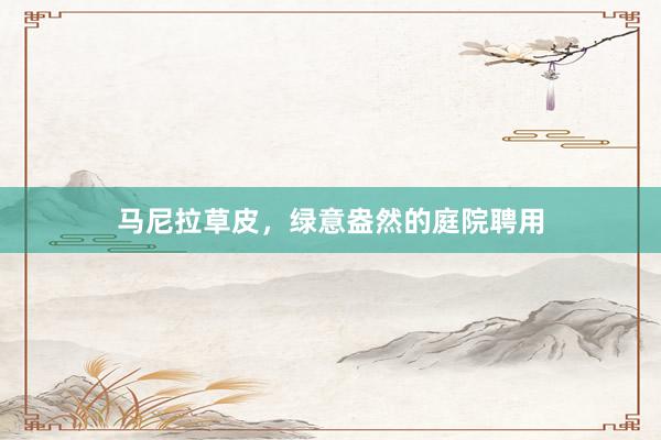 马尼拉草皮,绿意盎然的庭院聘用